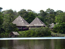 Ecuador-Amazon-La Selva Jungle Lodge